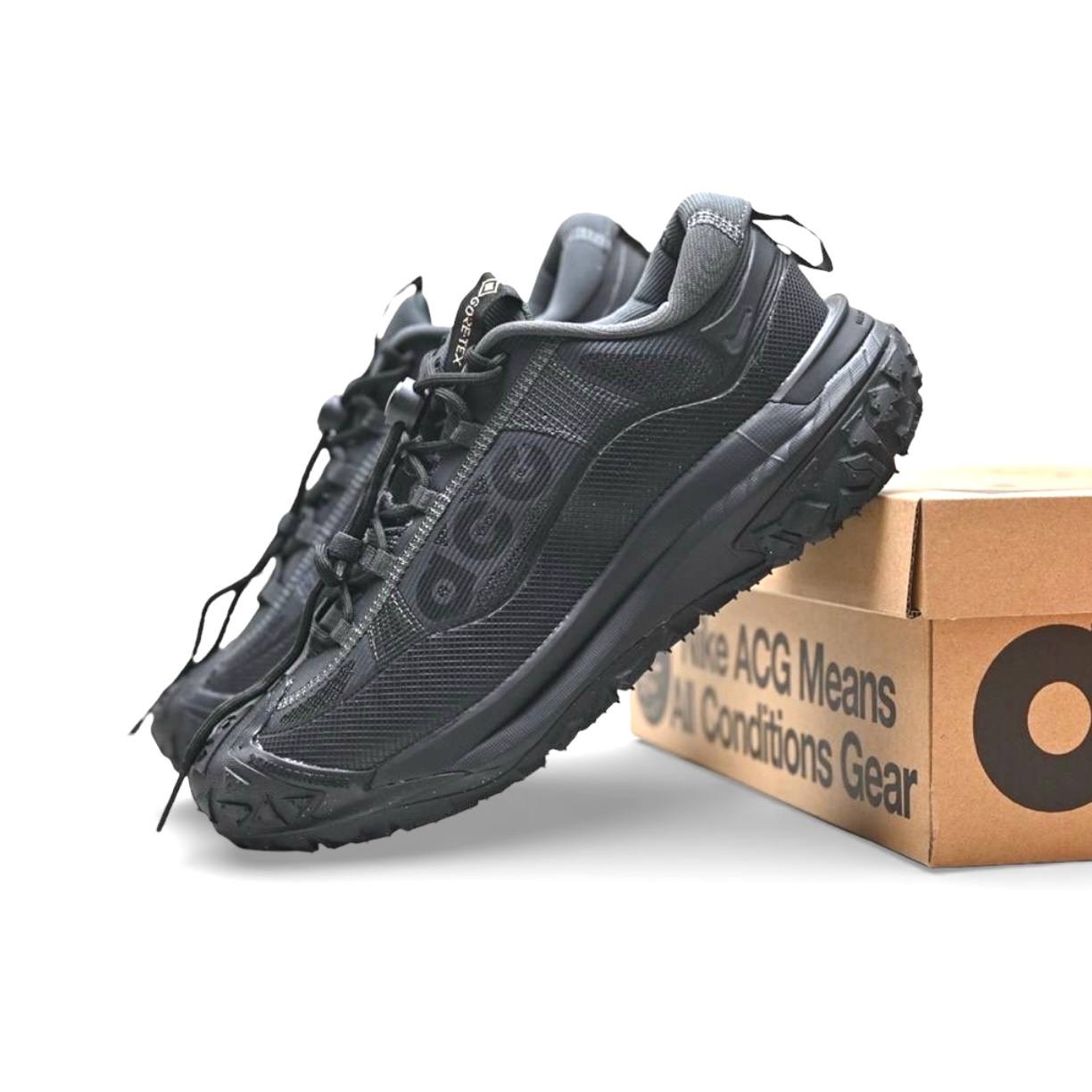 Маратонки Acg Mountain Fly 2 Low 1